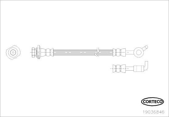 Corteco 19036846 - Гальмівний шланг autocars.com.ua