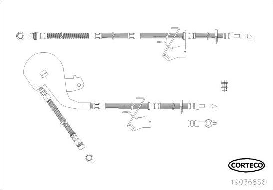 Corteco 19036856 - Гальмівний шланг autocars.com.ua