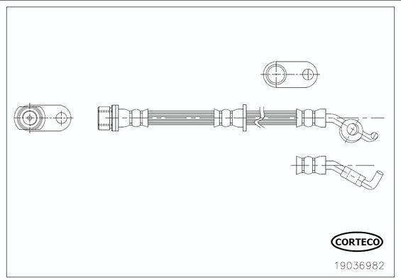 Corteco 19036982 - Гальмівний шланг autocars.com.ua