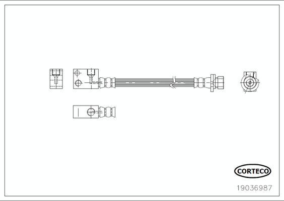 Corteco 19036987 - Гальмівний шланг autocars.com.ua