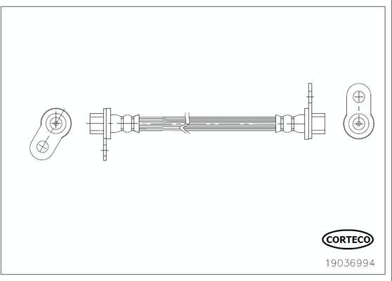 Corteco 19036994 - Гальмівний шланг autocars.com.ua