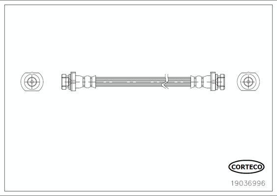 Corteco 19036996 - Тормозной шланг avtokuzovplus.com.ua