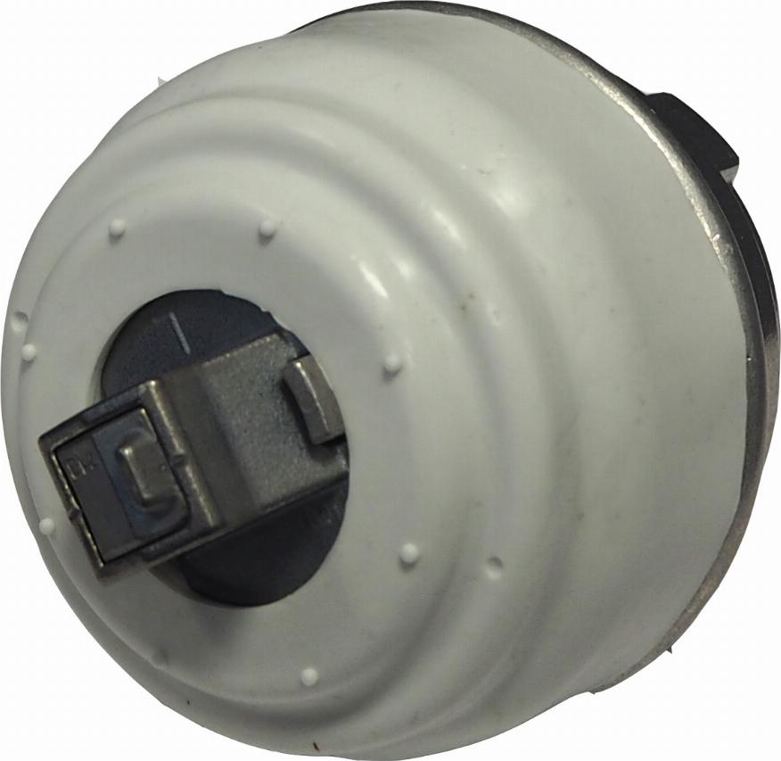 Corteco 49115922 - Подушка, підвіска двигуна autocars.com.ua