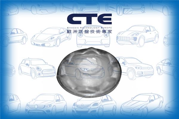 CTE CBH03010 - Сайлентблок, важеля підвіски колеса autocars.com.ua
