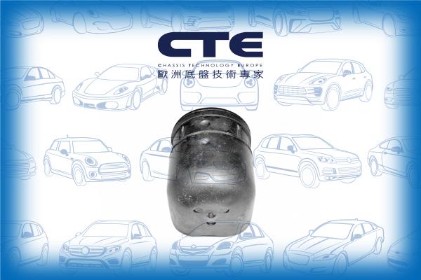 CTE CBH06012 - Сайлентблок, рычаг подвески колеса autodnr.net