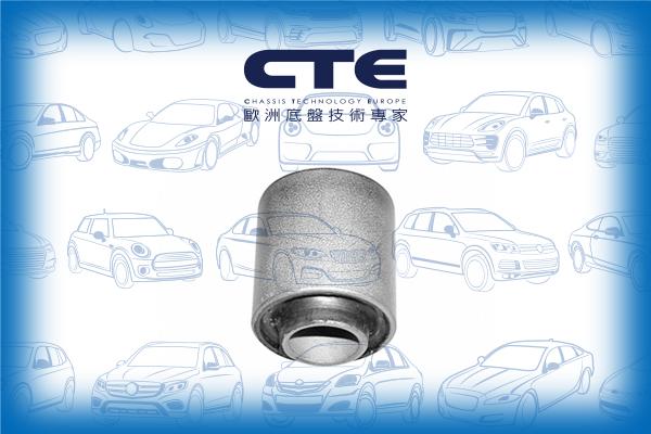 CTE CBH06017 - Сайлентблок, рычаг подвески колеса autodnr.net