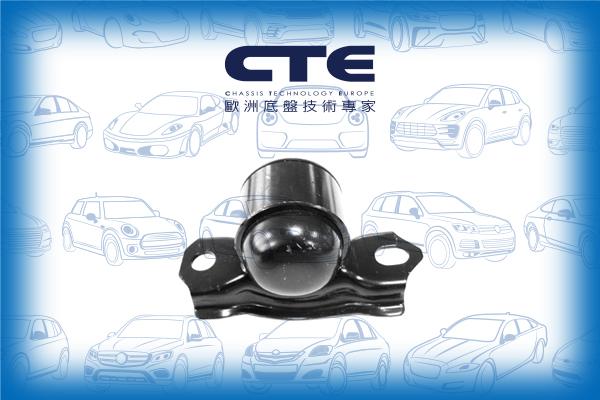 CTE CBH06046L - Сайлентблок, важеля підвіски колеса autocars.com.ua