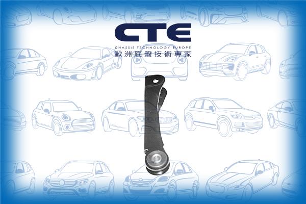 CTE CSL01003 - Тяга / стійка, стабілізатор autocars.com.ua