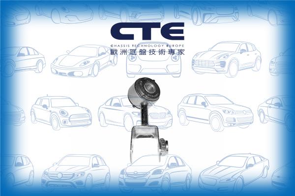 CTE CSL02040R - Тяга / стійка, стабілізатор autocars.com.ua