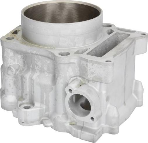 Cylinder Works 20104 - Головка циліндра autocars.com.ua