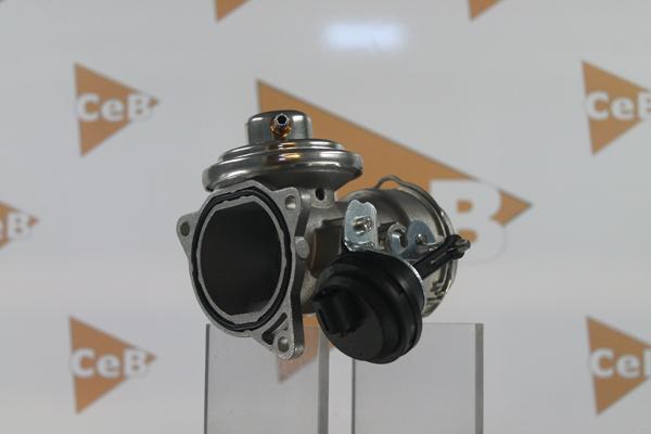 DA SILVA GR6046 - Клапан повернення ОГ autocars.com.ua
