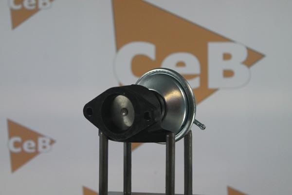 DA SILVA GR6055 - Клапан повернення ОГ autocars.com.ua