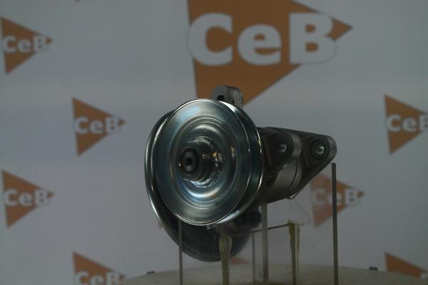 DA SILVA PV4002 - Вакуумний насос, гальмівна система autocars.com.ua