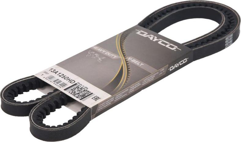 Dayco 13A1250HD - Клиновий ремінь autocars.com.ua