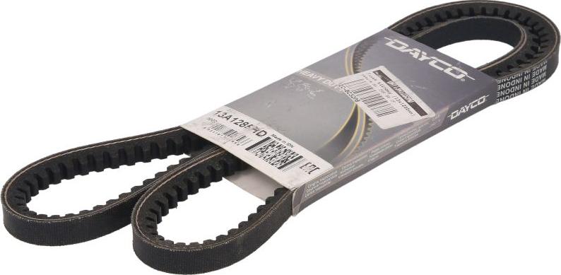 DAYCO 13A1285HD - Клиновий ремінь autocars.com.ua