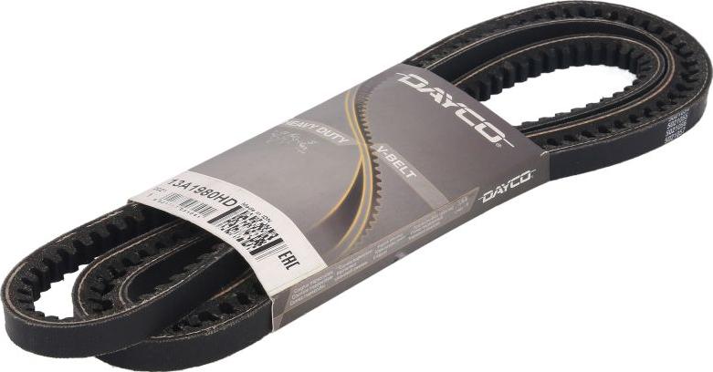 DAYCO 13A1980HD - Клиновий ремінь autocars.com.ua