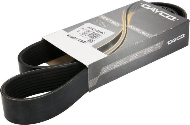 DAYCO 8PK1095HD - Поликлиновой ремінь autocars.com.ua