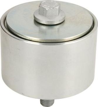 Dayco APV1060 - Паразитний / провідний ролик, поліклиновий ремінь autocars.com.ua