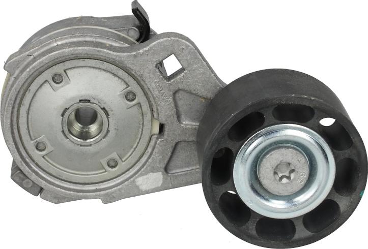 DAYCO APV1105 - Натягувач ременя, клинові зуб. autocars.com.ua