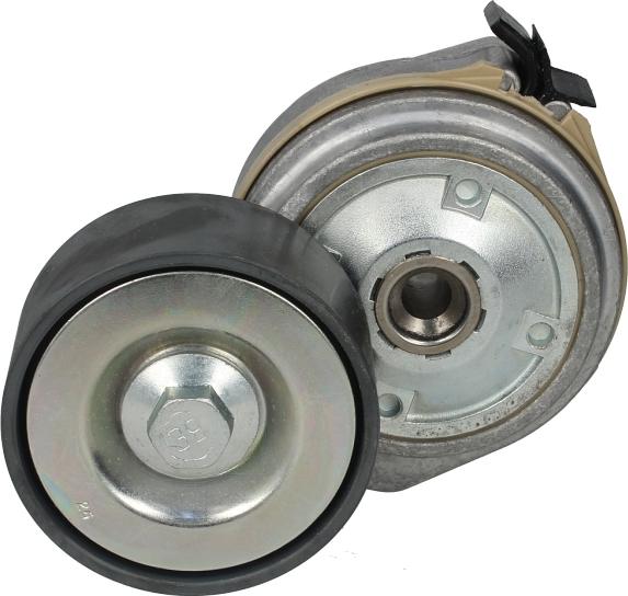 Dayco APV1128 - Натягувач ременя, клинові зуб. autocars.com.ua