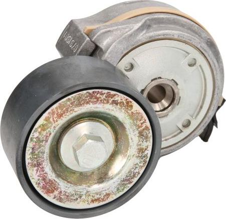 Dayco APV1134 - Натягувач ременя, клинові зуб. autocars.com.ua