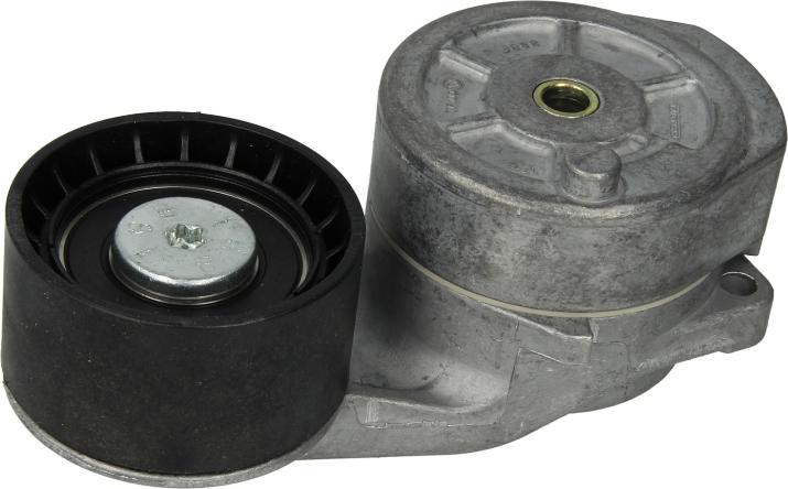 Dayco APV2736 - Натягувач ременя, клинові зуб. autocars.com.ua