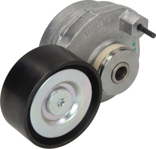 Dayco APV2813 - Натягувач ременя, клинові зуб. autocars.com.ua