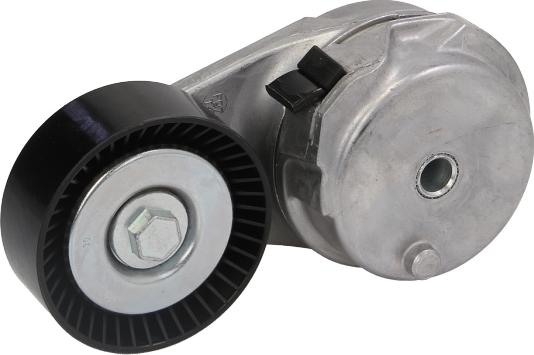 DAYCO APV2959 - Натягувач ременя, клинові зуб. autocars.com.ua