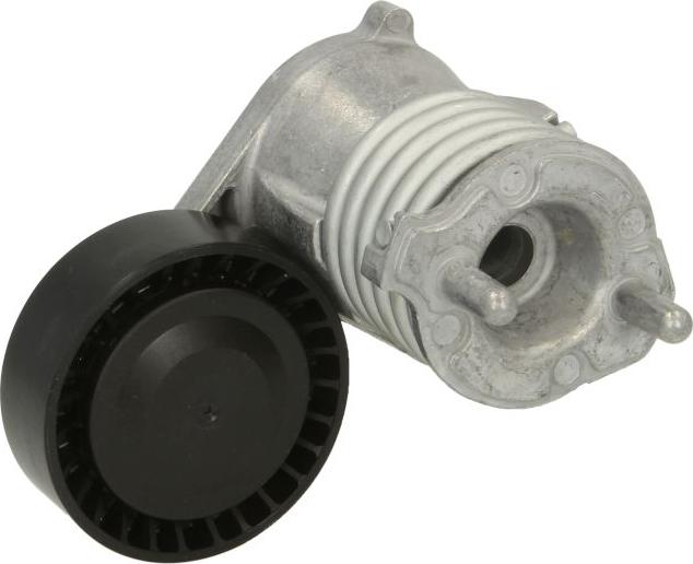 DAYCO APV3019 - Натягувач ременя, клинові зуб. autocars.com.ua