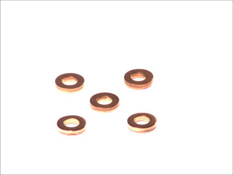 Delphi 9001-850C - Кільце ущільнювача, шахта форсунки autocars.com.ua