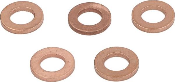 Delphi 9001-850J - Кільце ущільнювача, клапанна форсунка autocars.com.ua