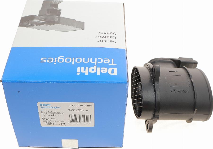 Delphi AF10075-12B1 - Датчик потока, массы воздуха avtokuzovplus.com.ua