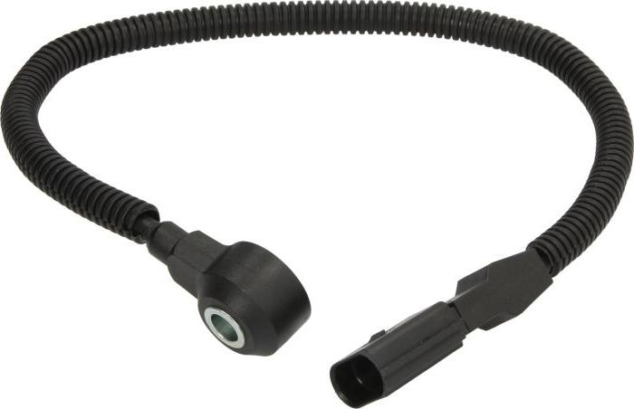 Delphi AS10181 - Датчик детонації autocars.com.ua