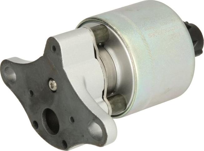 Delphi EG10397-12B1 - Клапан повернення ОГ autocars.com.ua