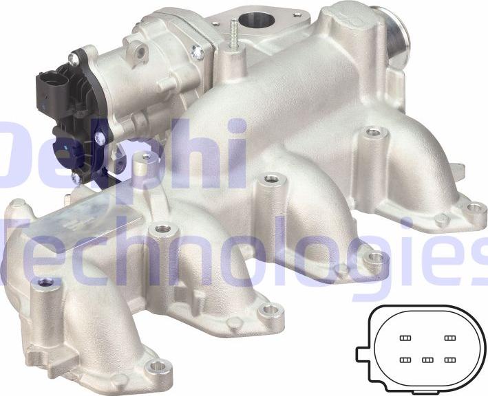 Delphi EG10451-12B1 - Клапан повернення ОГ autocars.com.ua