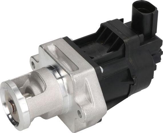 Delphi EG10478-12B1 - Клапан повернення ОГ autocars.com.ua