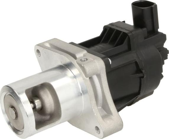 Delphi EG10479-12B1 - Клапан повернення ОГ autocars.com.ua