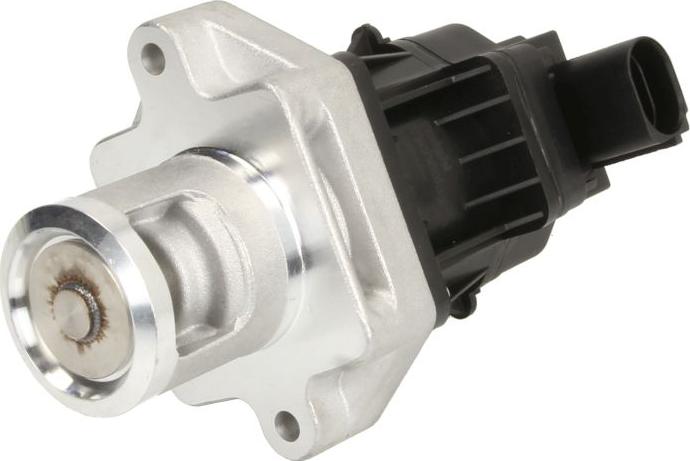 Delphi EG10496-12B1 - Клапан повернення ОГ autocars.com.ua