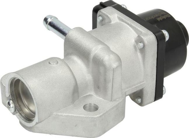 Delphi EG10526-12B1 - Клапан повернення ОГ autocars.com.ua