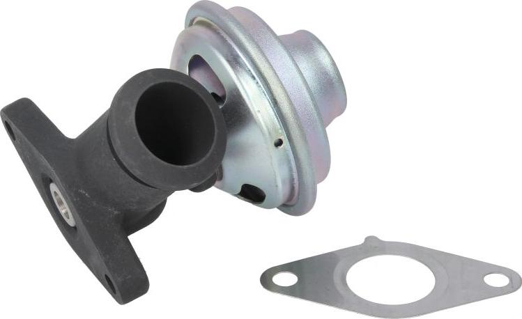 Delphi EG10528-12B1 - Клапан повернення ОГ autocars.com.ua