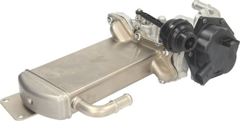 Delphi EG10576-12B1 - Клапан повернення ОГ autocars.com.ua