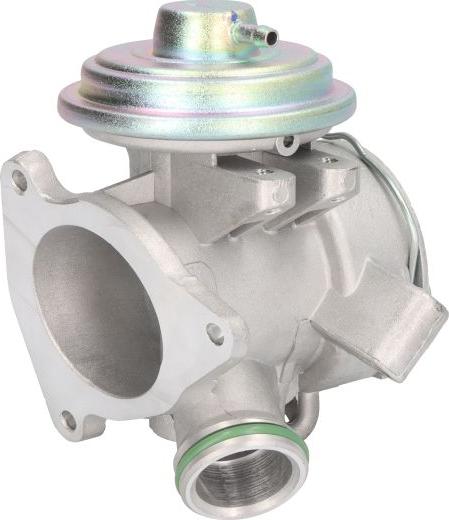 Delphi EG10615-12B1 - Клапан повернення ОГ autocars.com.ua