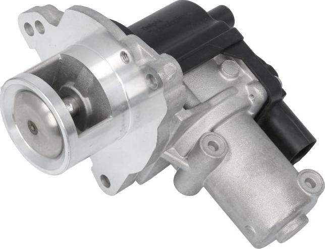 Delphi EG10622-12B1 - Клапан повернення ОГ autocars.com.ua