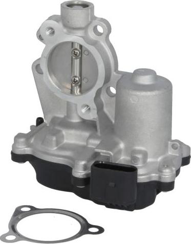 Delphi EG10630-12B1 - Клапан повернення ОГ autocars.com.ua