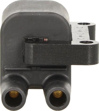 Delphi GN10397-12B1 - Котушка запалювання autocars.com.ua