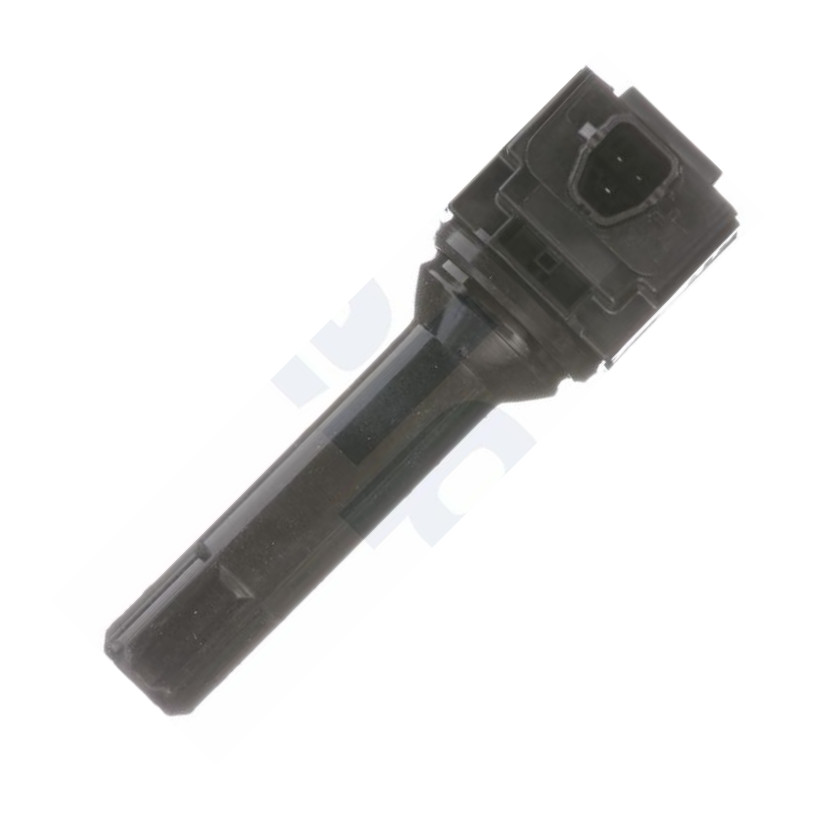 Delphi GN10687-17B1 - Котушка запалювання autocars.com.ua