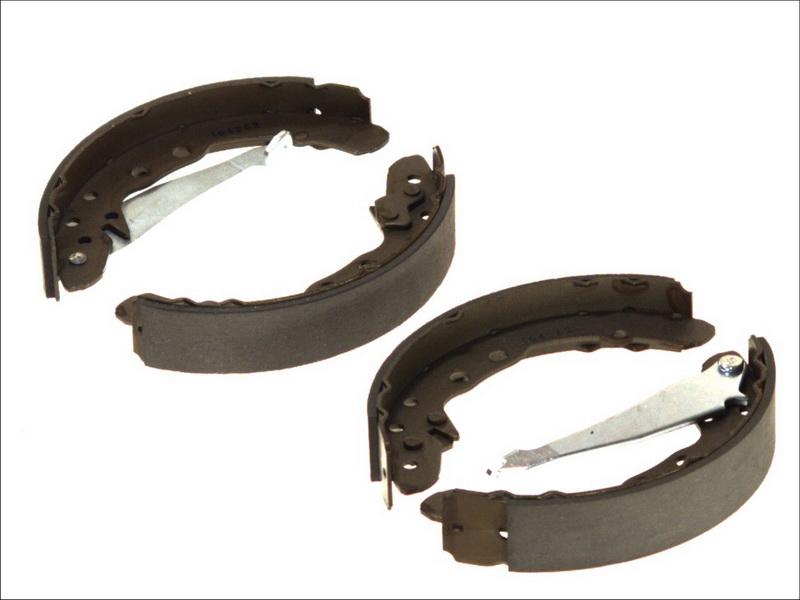 Delphi LS1655 - Комплект гальм, барабанний механізм autocars.com.ua