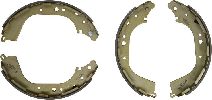 Delphi LS1709 - Комплект гальм, барабанний механізм autocars.com.ua