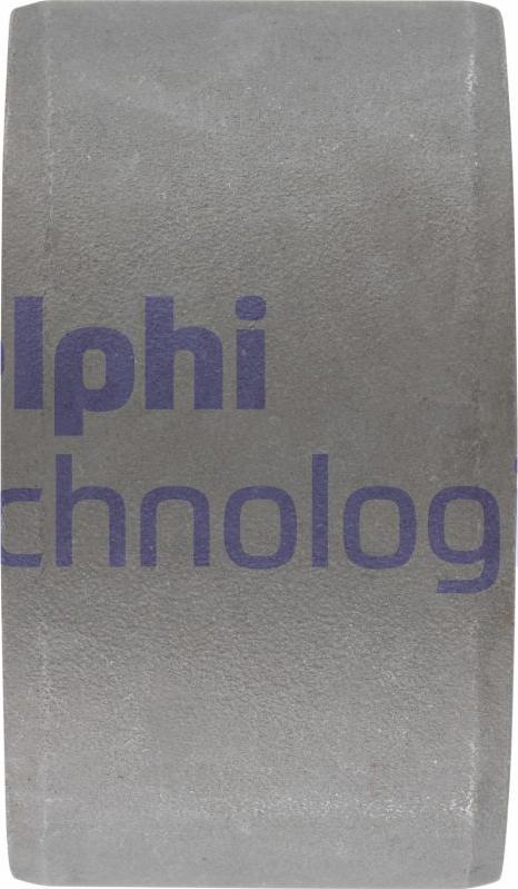 Delphi TD344W-11B1 - Сайлентблок, рычаг подвески колеса avtokuzovplus.com.ua