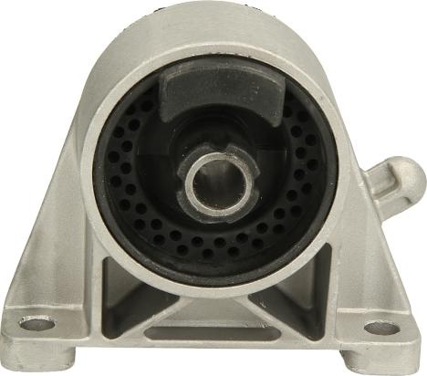 Delphi TEM010 - Подушка, підвіска двигуна autocars.com.ua